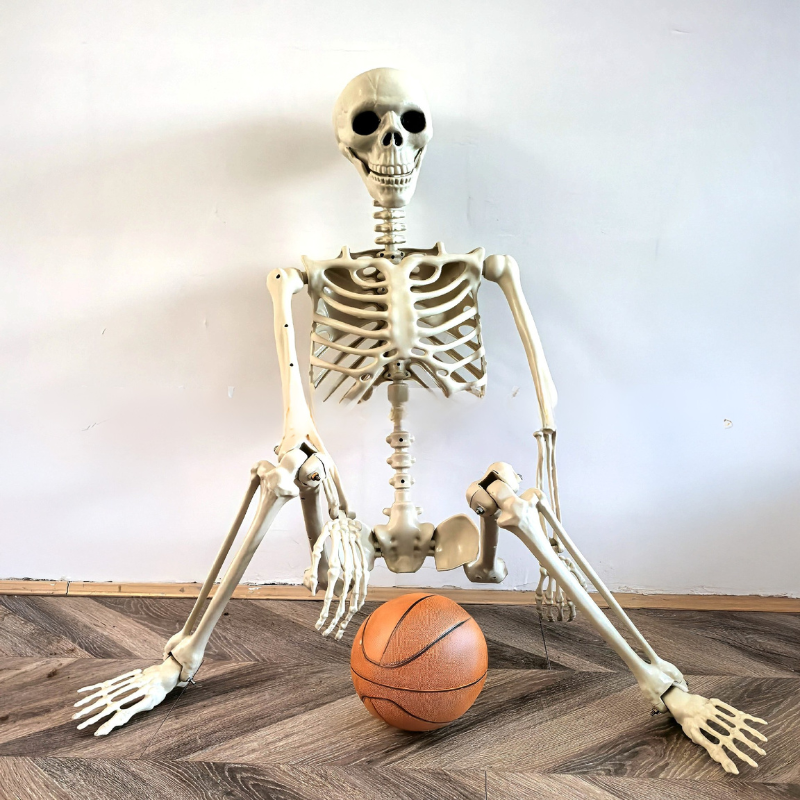 170 cm Life-Size Halloween Skeleton – Posable Outdoor Decoration for a Spooky Yard