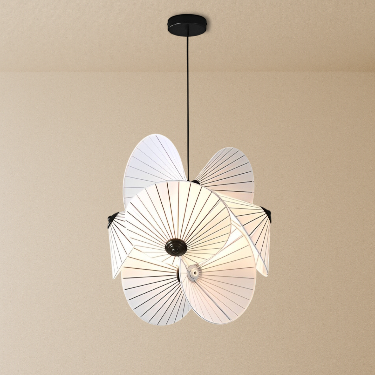 Bromeliad | Minimalist Hanging Lamp