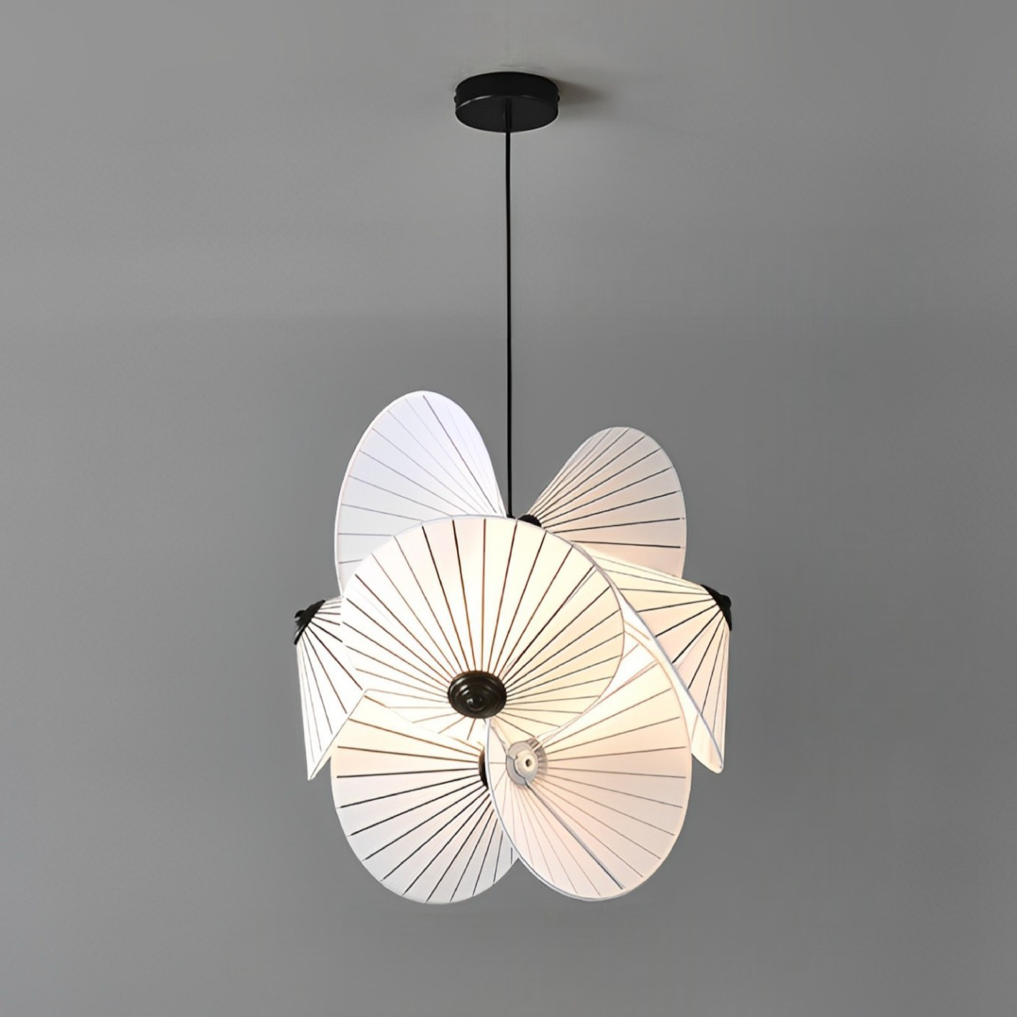 Bromeliad | Minimalist Hanging Lamp