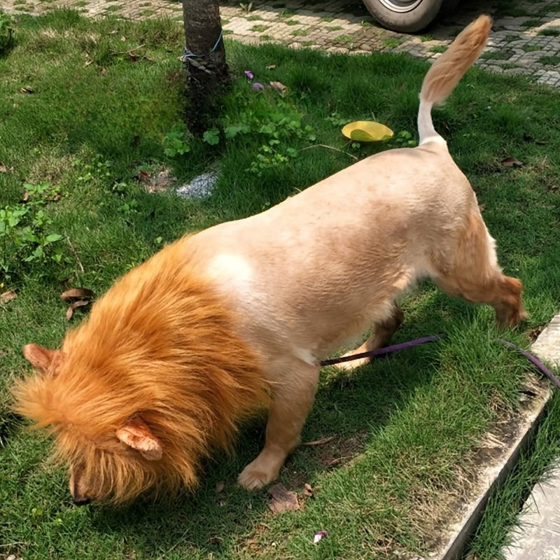 Dog Costume for Halloween – Lion Mane Headpiece | Realistic Look & Comfortable Fit