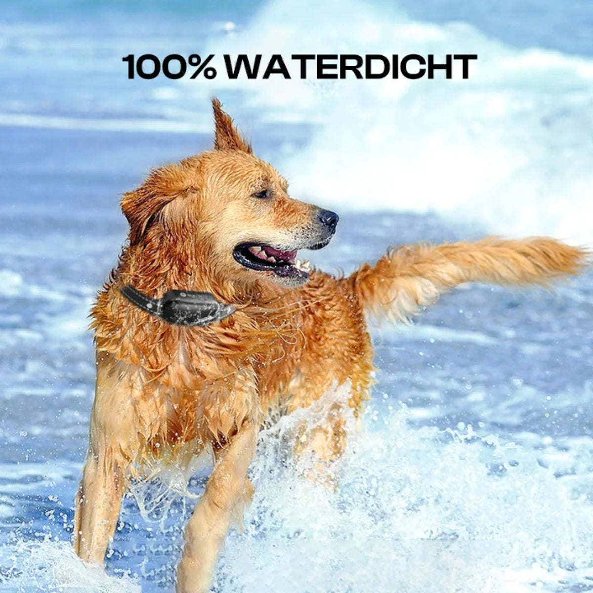BarkTuner | Adjustable Shock, Beep & Vibration Collar for Effective Dog Training