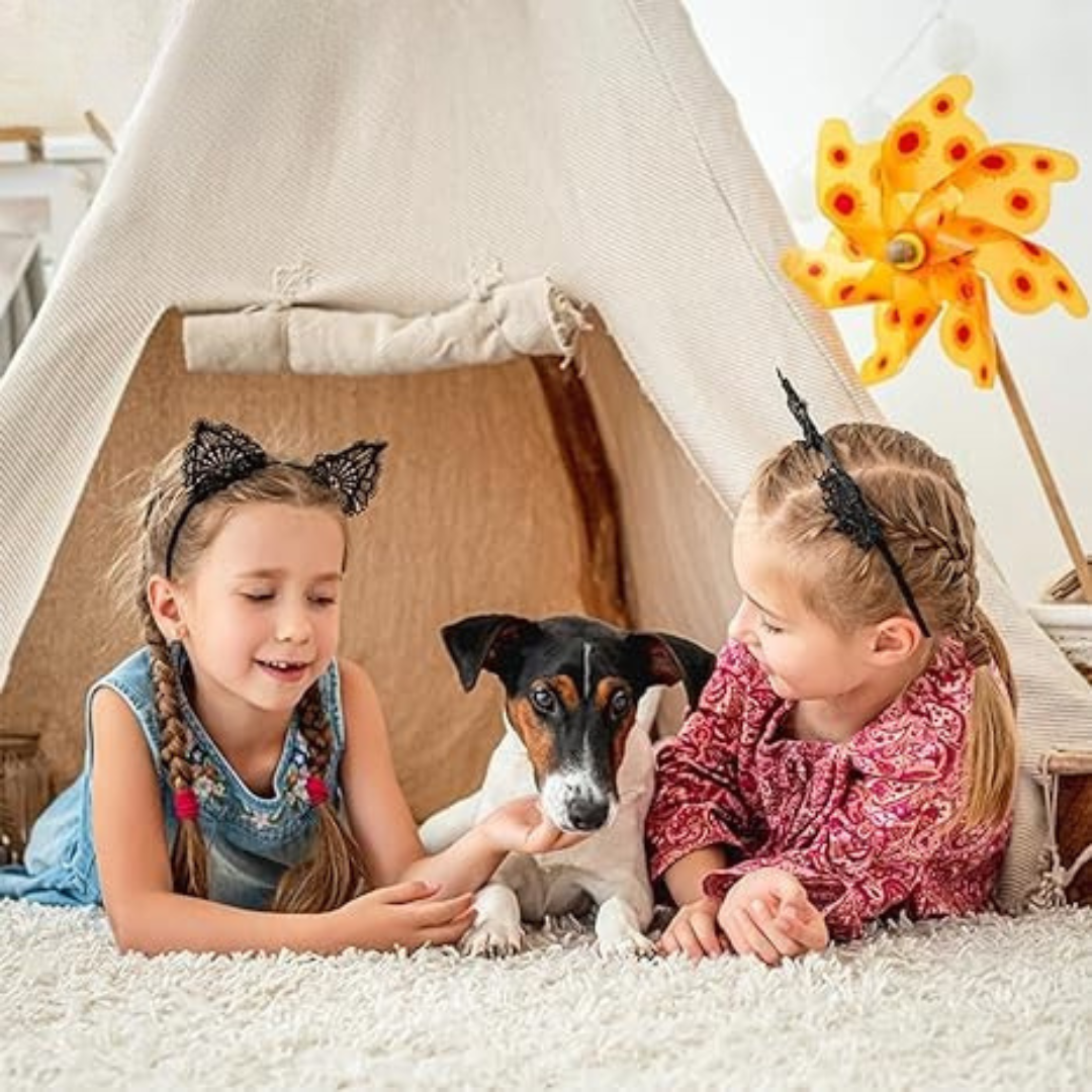 HomeSense HD Cam – An indoor wireless HD security cam designed for easy home monitoring.