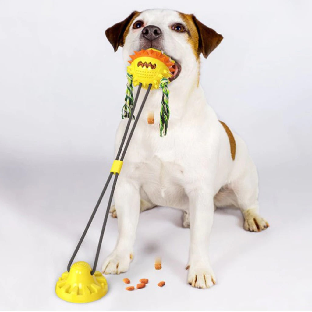 ActiveChew Toy – An interactive, self-playing dog toy with chew bars and rolling balls that promotes dental health.