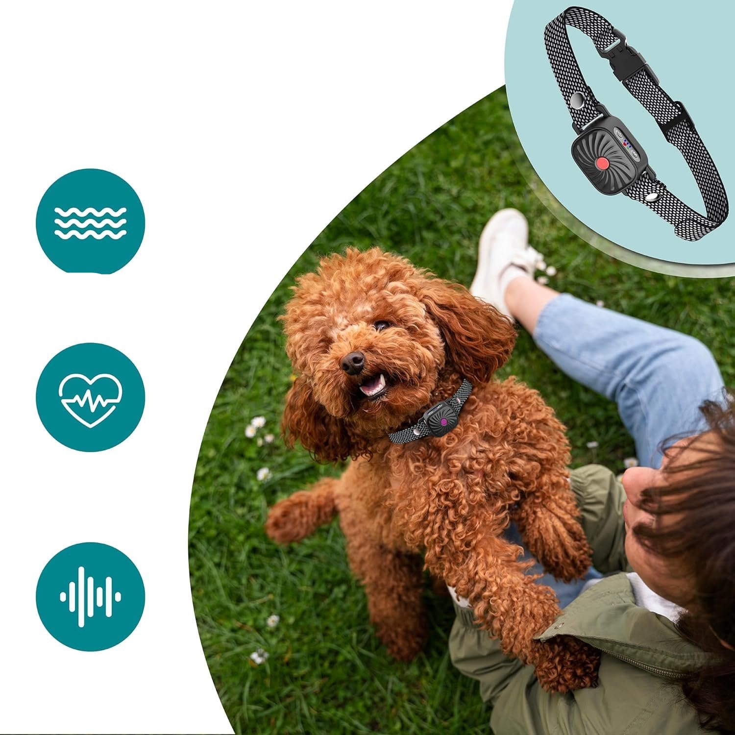 SilentPal Collar – An adjustable, humane anti-bark collar for dogs.