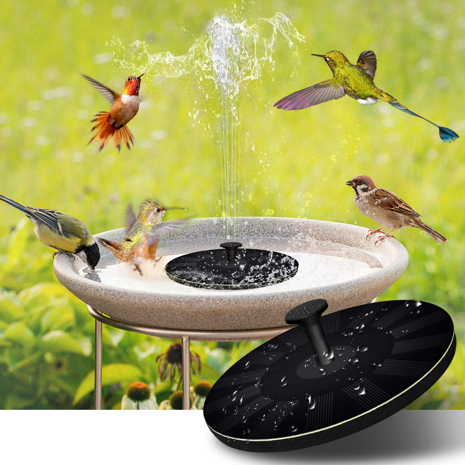 EcoFlow Bird Fountain – An eco-friendly solar bird bath fountain that creates a serene atmosphere with gentle water sounds.