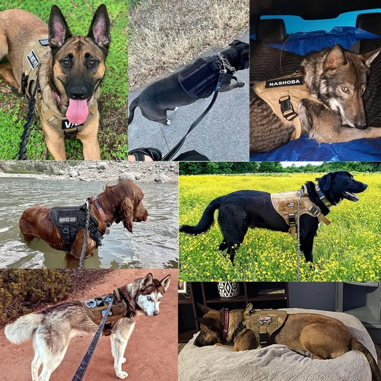 Heavy-Duty Tactical Dog Harness – Adjustable Fit with Handle and Reflective Features for Training