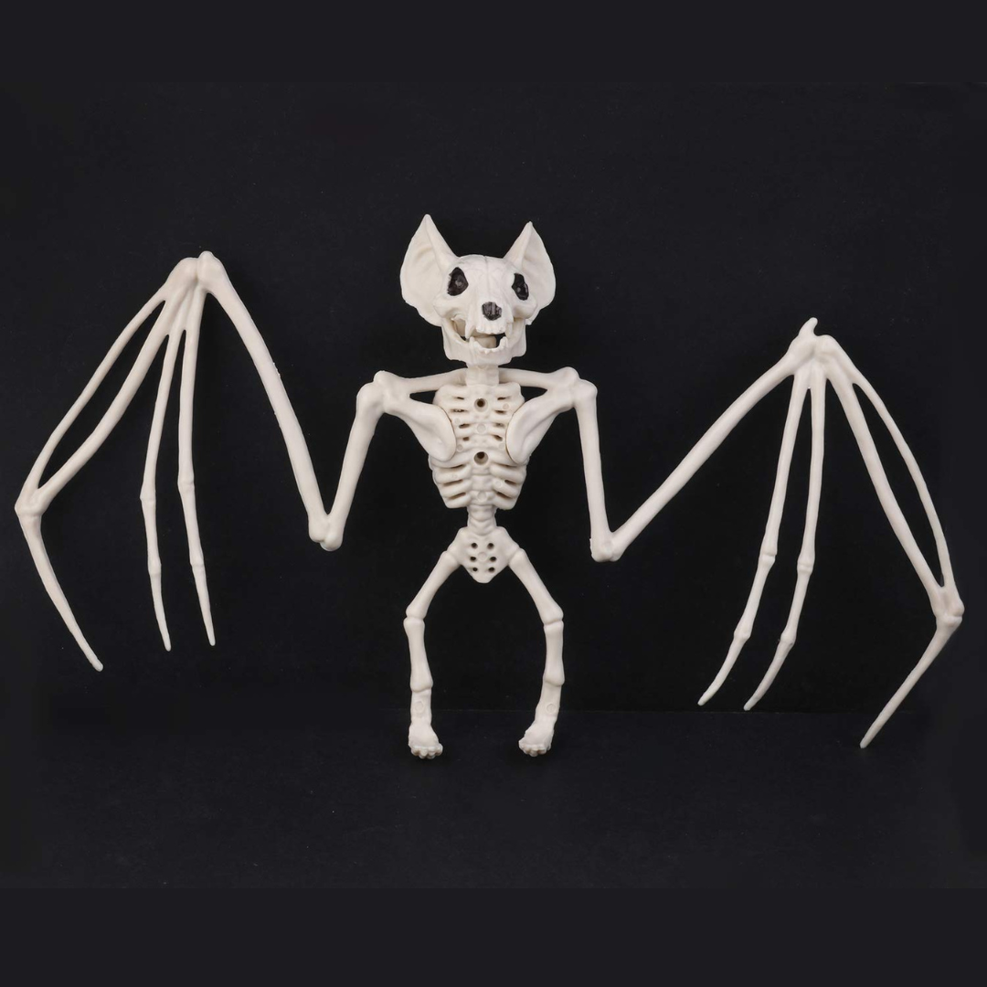 Hanging Skeleton – Spooky Wall Art Halloween Decoration Ornament