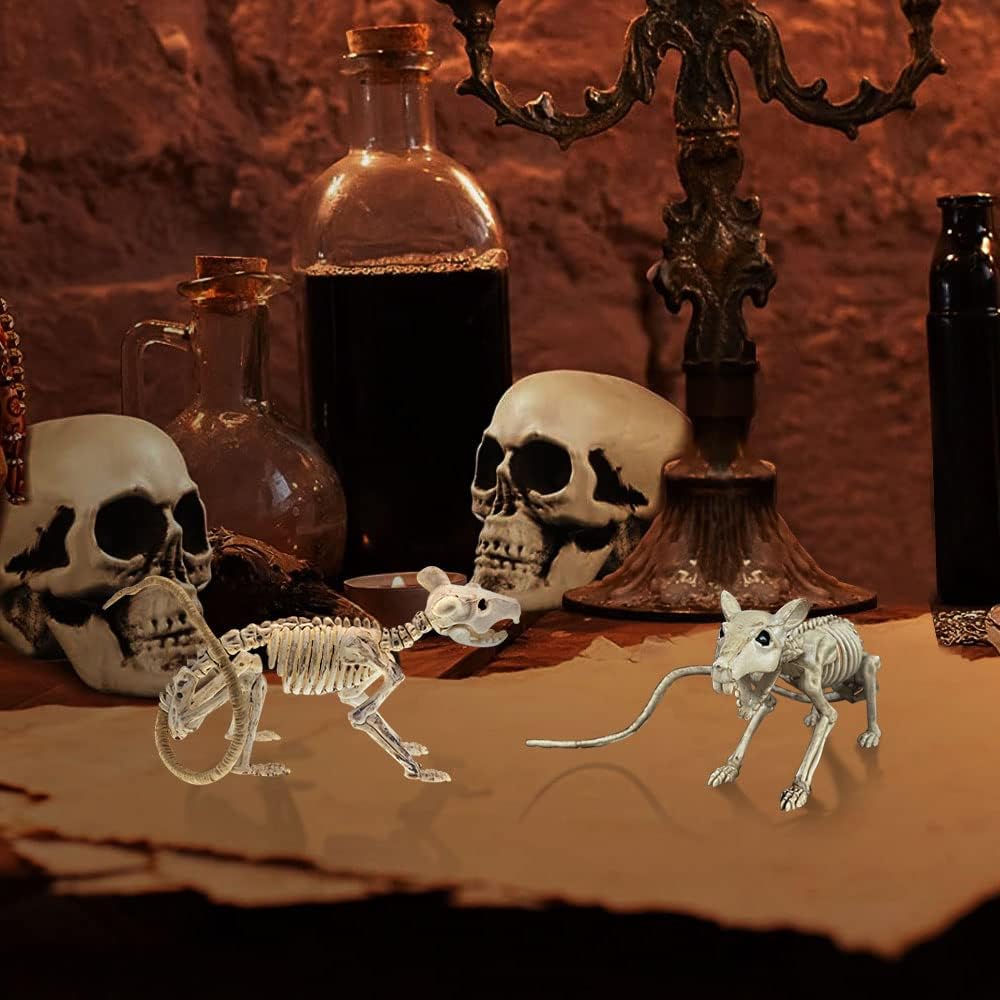 Hanging Skeleton – Spooky Wall Art Halloween Decoration Ornament