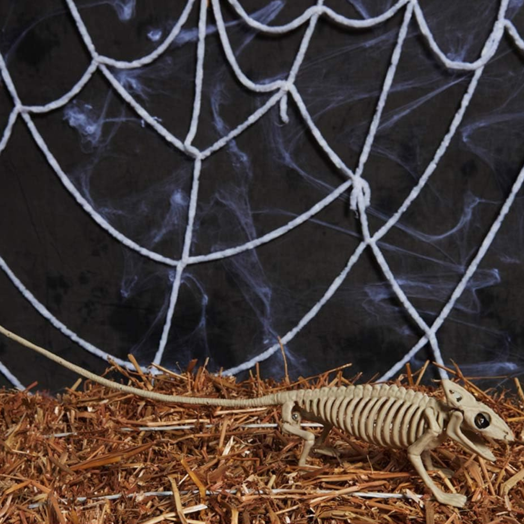 Hanging Skeleton – Spooky Wall Art Halloween Decoration Ornament