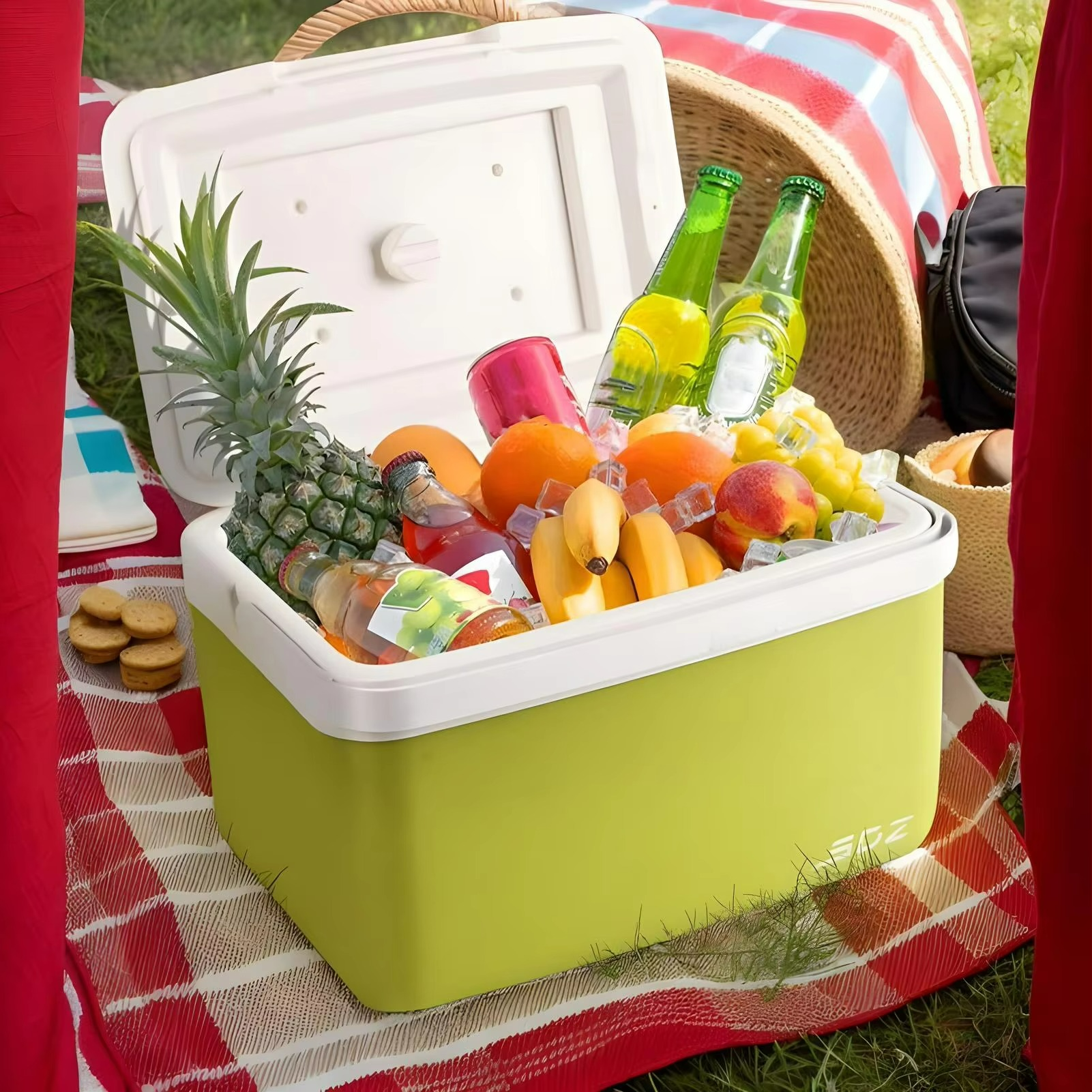 Portable Food and Beverage Cooler for Camping and Beach Use