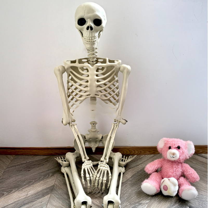 170 cm Life-Size Halloween Skeleton – Posable Outdoor Decoration for a Spooky Yard