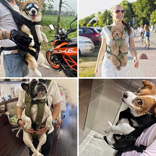 PawPorter – Hands-Free Dog Carrier Backpack for Small Pets with Adjustable Comfort Design