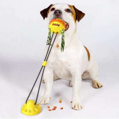 ActiveChew Toy – An interactive, self-playing dog toy with chew bars and rolling balls that promotes dental health.