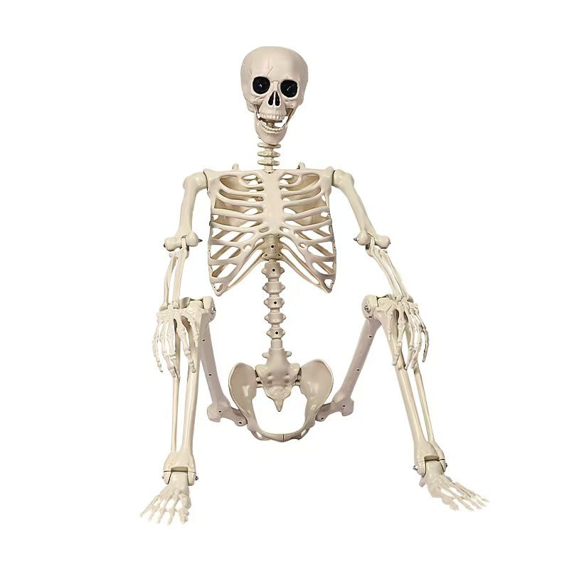 170 cm Life-Size Halloween Skeleton – Posable Outdoor Decoration for a Spooky Yard
