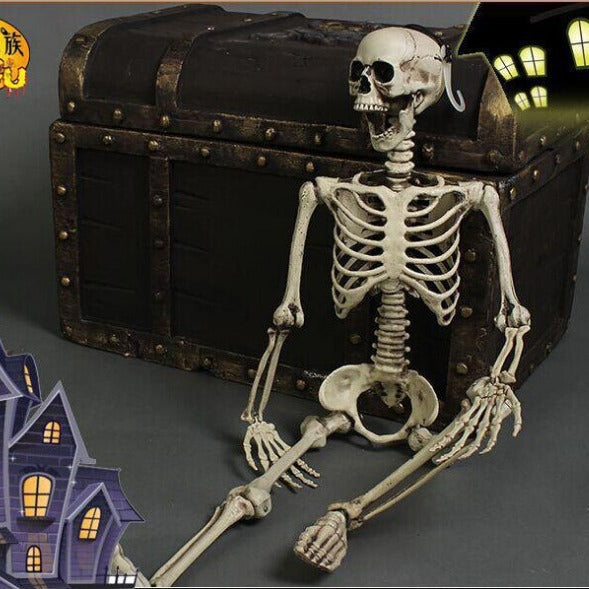 170 cm Life-Size Halloween Skeleton – Posable Outdoor Decoration for a Spooky Yard