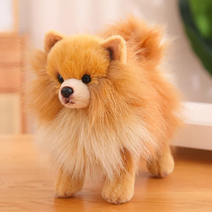 Premium Plush Pomeranian Stuffed Animal – Soft Realistic Dog Plushies for Kids, 12 Inches Tall
