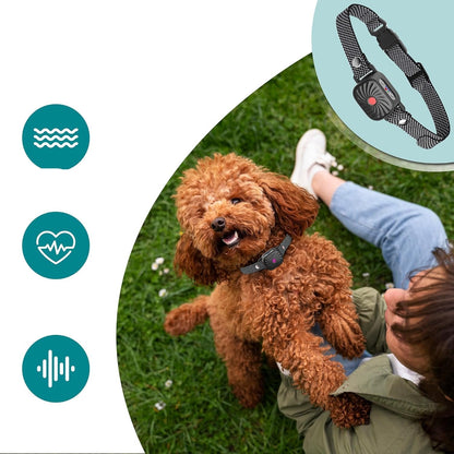 SilentPal Collar – An adjustable, humane anti-bark collar for dogs.