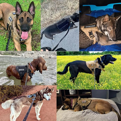 Heavy-Duty Tactical Dog Harness – Adjustable Fit with Handle and Reflective Features for Training