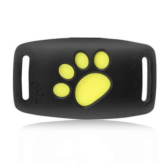 PawRadar | Real-Time GPS Cat Collar with Reliable Satellite Tracking