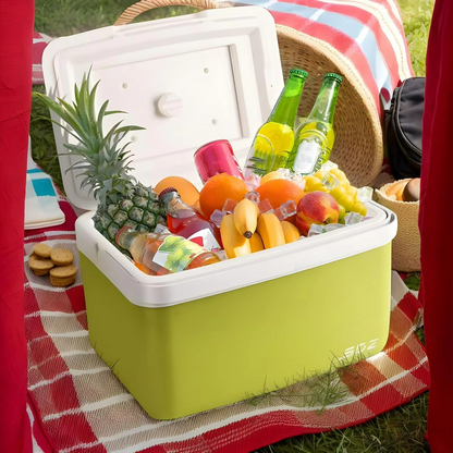 Portable Food and Beverage Cooler for Camping and Beach Use